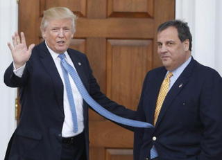 Illustration for article titled Trump Ties